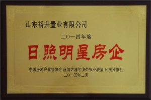 山東裕升置業(yè)有限公司2014年度日照明星
