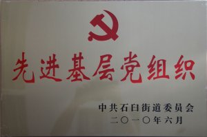先進基層黨組織2010.6